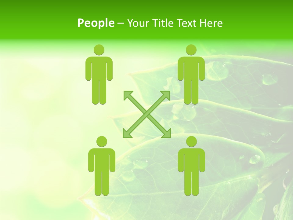 Summer Outdoor Biology PowerPoint Template