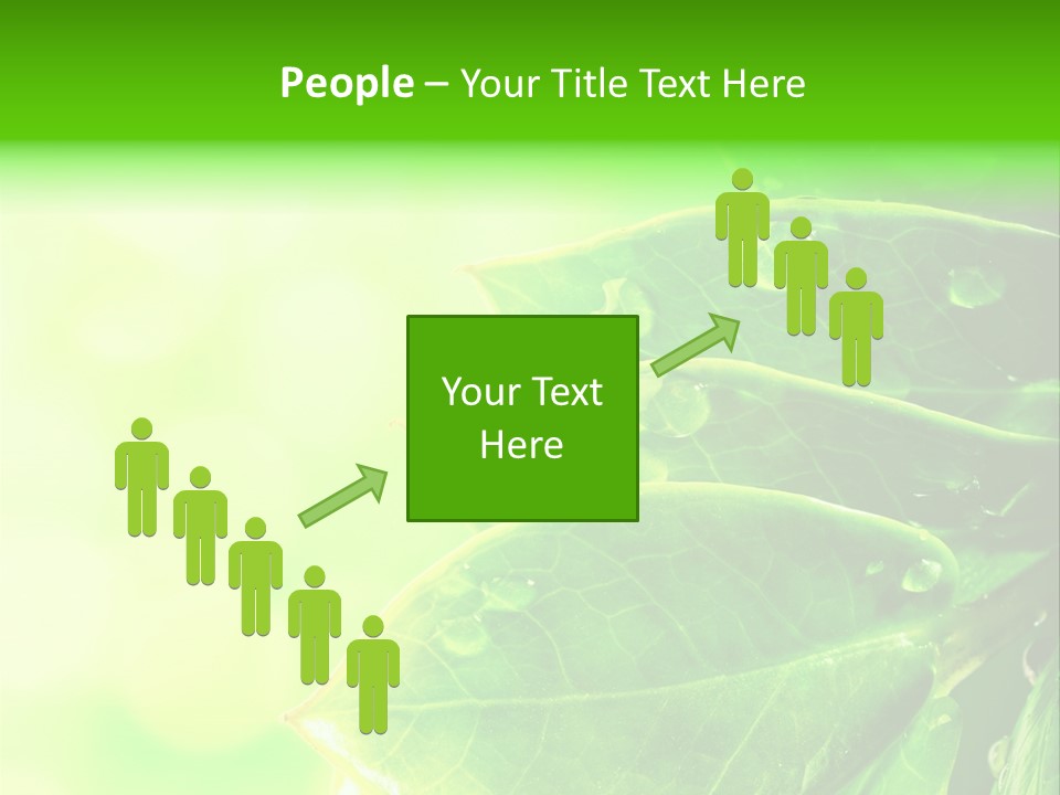 Summer Outdoor Biology PowerPoint Template