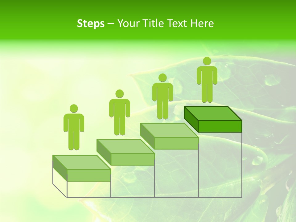 Summer Outdoor Biology PowerPoint Template