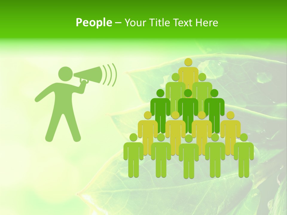 Summer Outdoor Biology PowerPoint Template