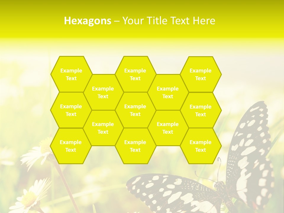 Landscape Plant Sky PowerPoint Template