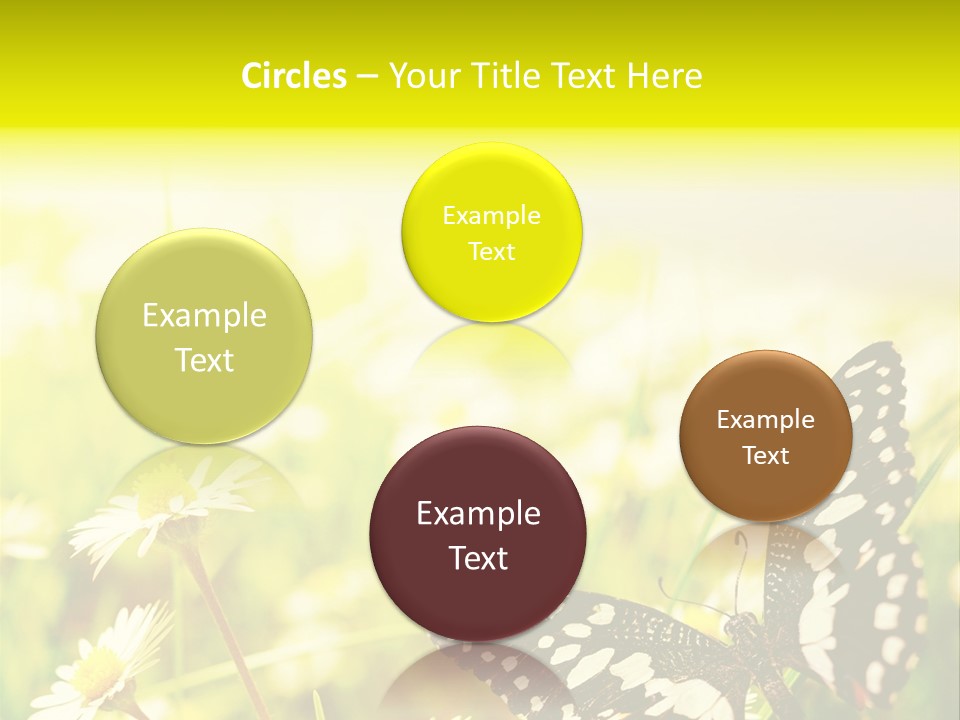 Landscape Plant Sky PowerPoint Template