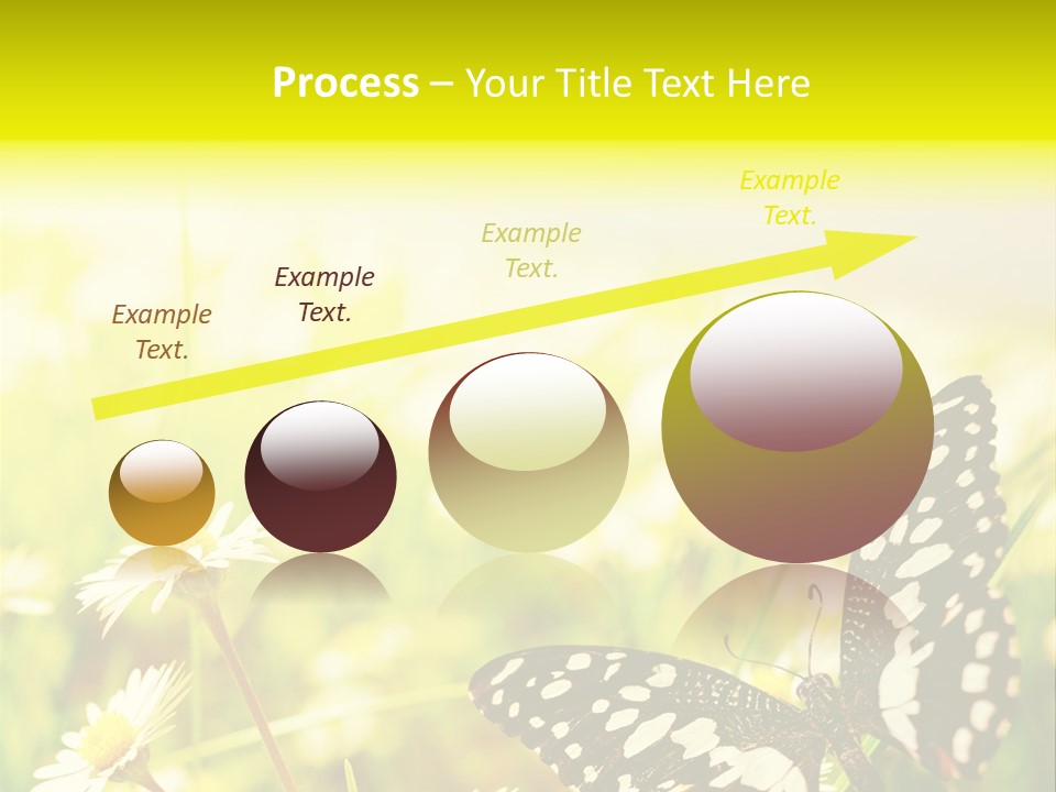 Landscape Plant Sky PowerPoint Template