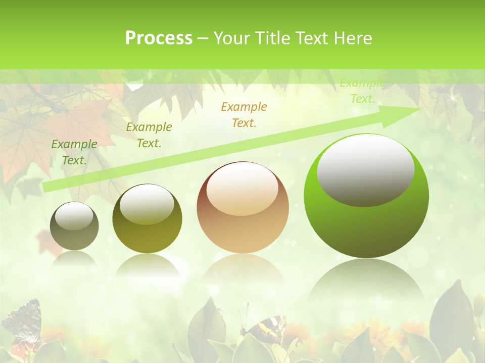 Pretty Colorful Wild PowerPoint Template
