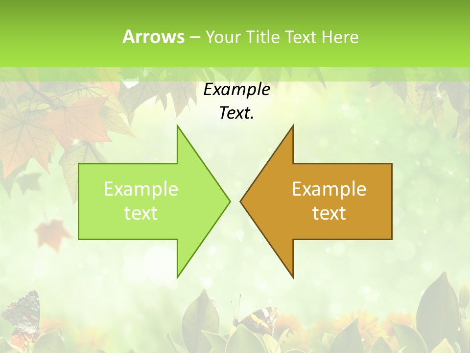 Pretty Colorful Wild PowerPoint Template