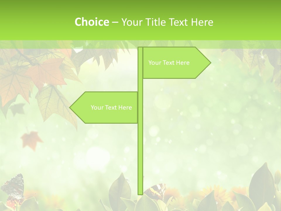 Pretty Colorful Wild PowerPoint Template