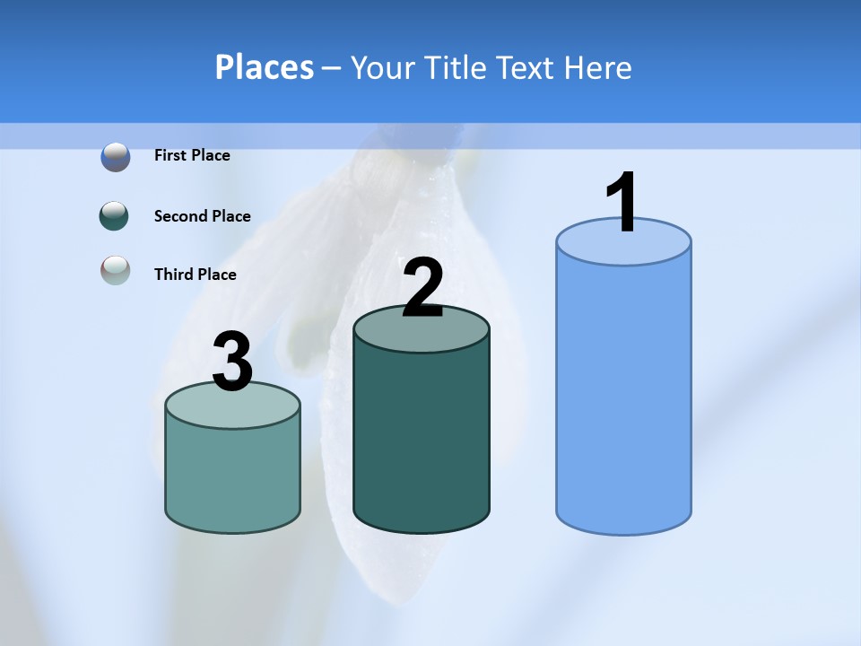 Closeup Dew Spring Flower PowerPoint Template