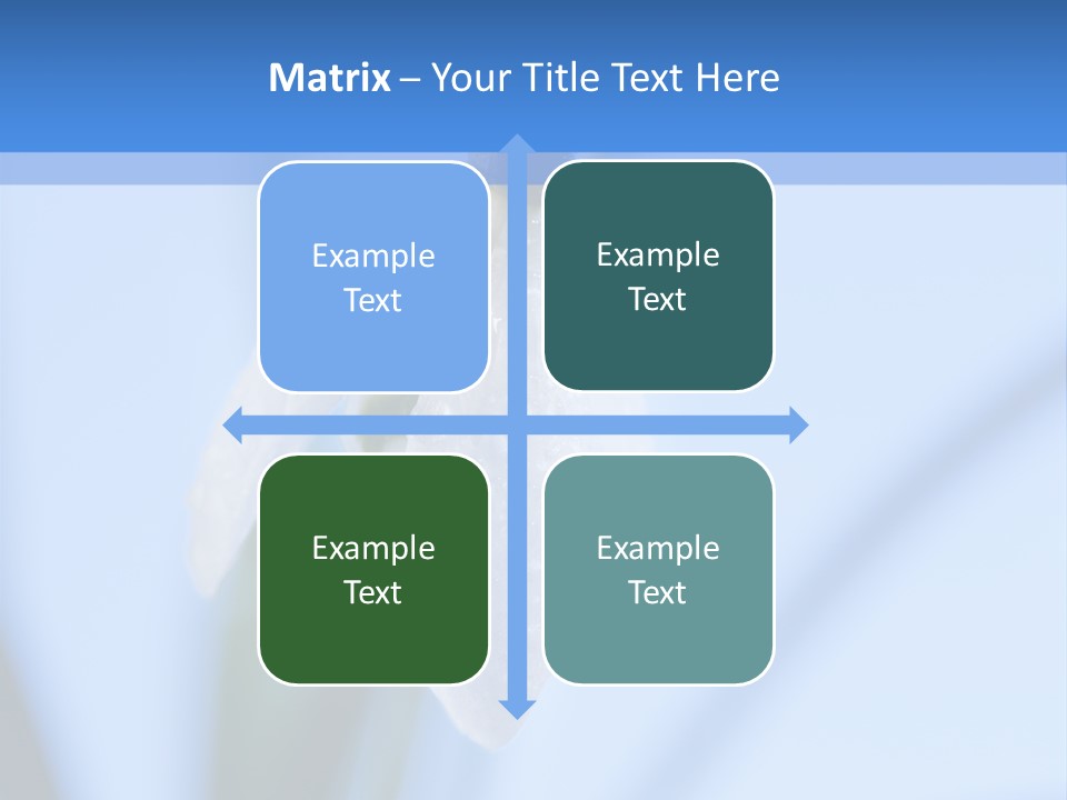 Closeup Dew Spring Flower PowerPoint Template