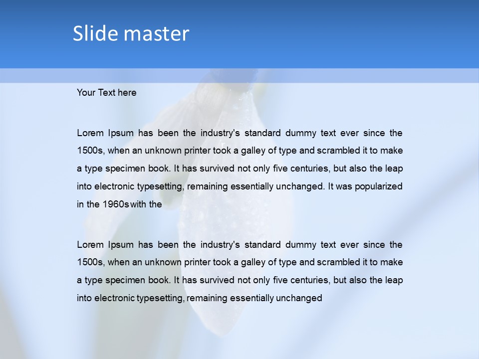 Closeup Dew Spring Flower PowerPoint Template