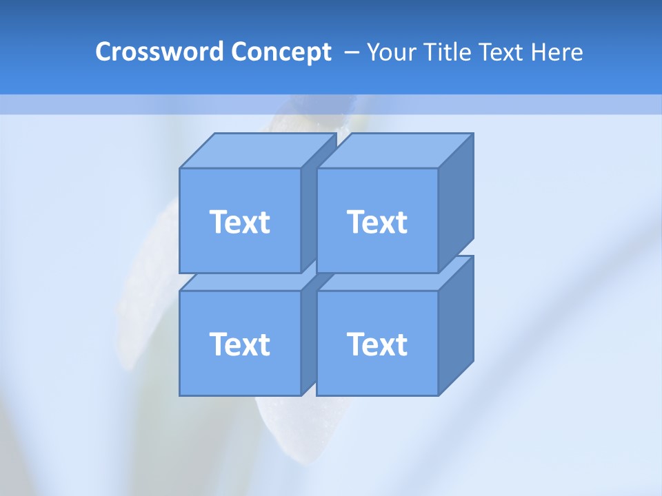 Closeup Dew Spring Flower PowerPoint Template