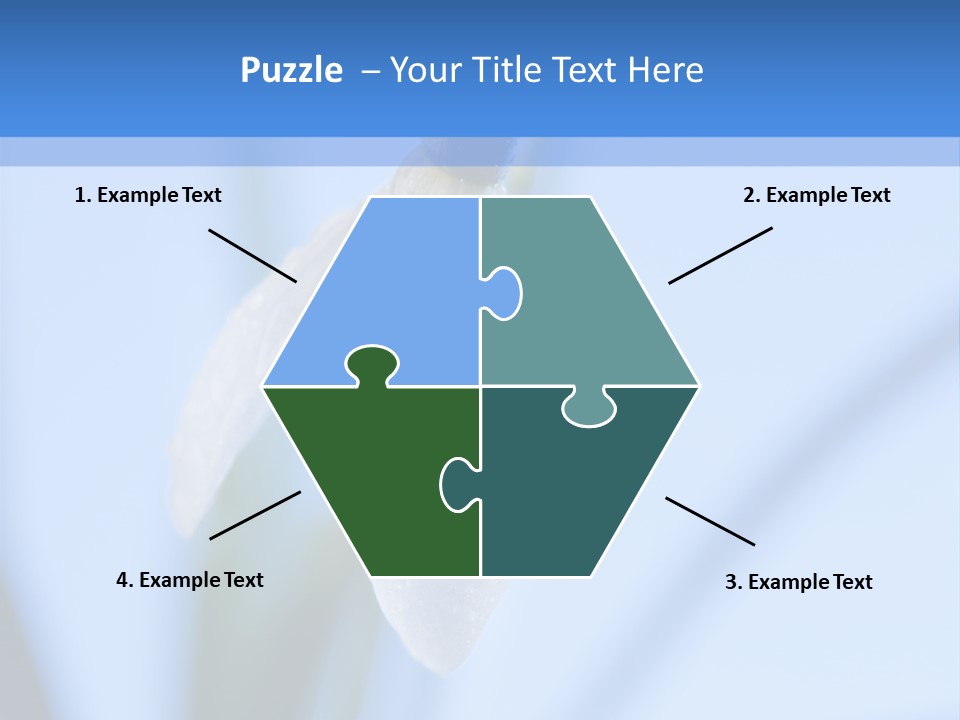 Closeup Dew Spring Flower PowerPoint Template