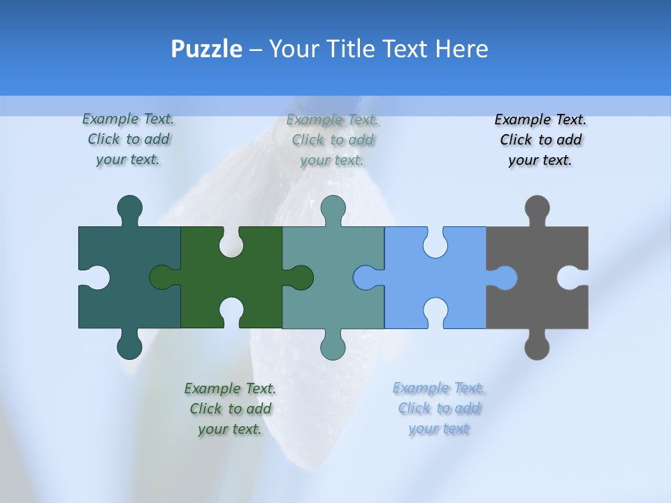 Closeup Dew Spring Flower PowerPoint Template