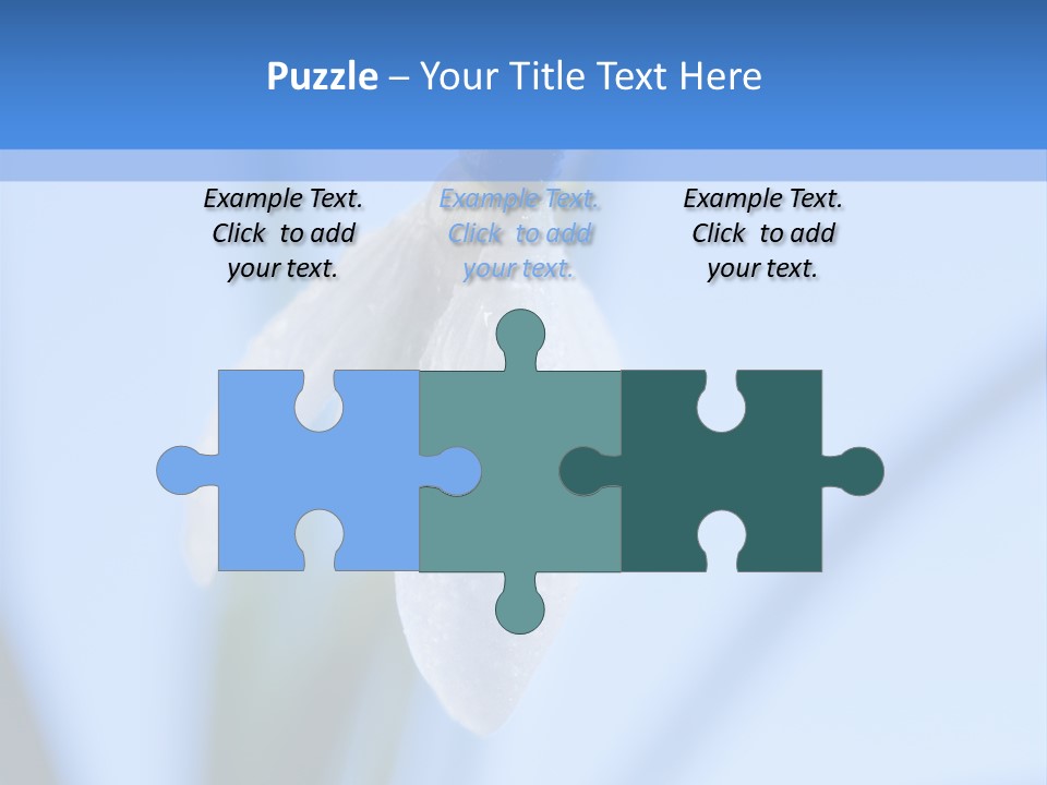 Closeup Dew Spring Flower PowerPoint Template