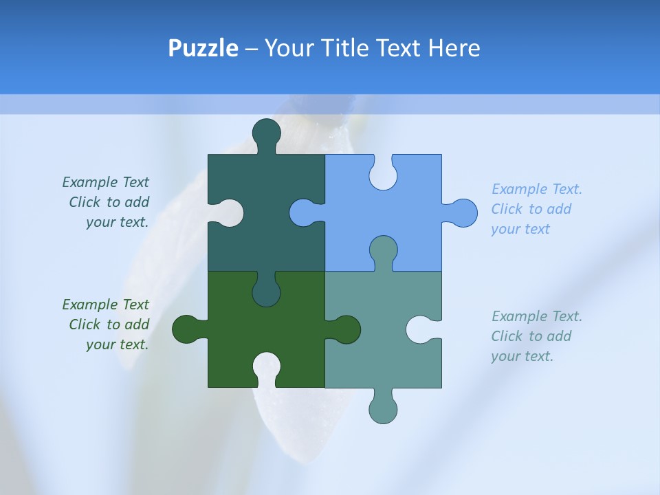 Closeup Dew Spring Flower PowerPoint Template