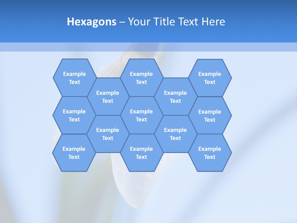 Closeup Dew Spring Flower PowerPoint Template