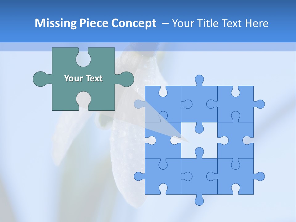 Closeup Dew Spring Flower PowerPoint Template