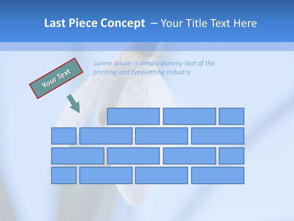 Closeup Dew Spring Flower PowerPoint Template