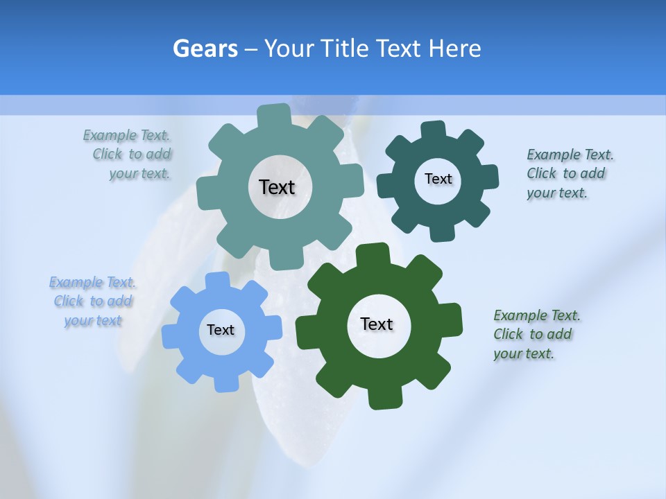 Closeup Dew Spring Flower PowerPoint Template