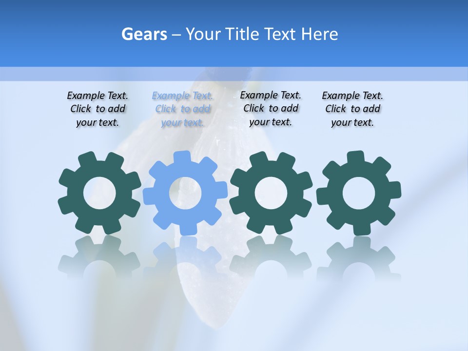 Closeup Dew Spring Flower PowerPoint Template