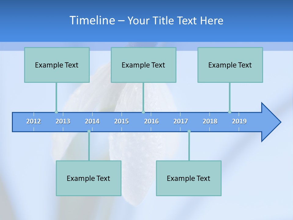 Closeup Dew Spring Flower PowerPoint Template