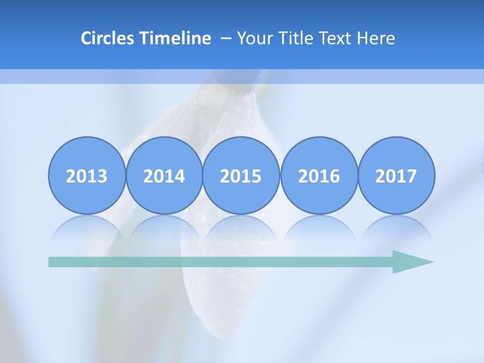 Closeup Dew Spring Flower PowerPoint Template