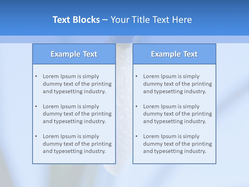 Closeup Dew Spring Flower PowerPoint Template