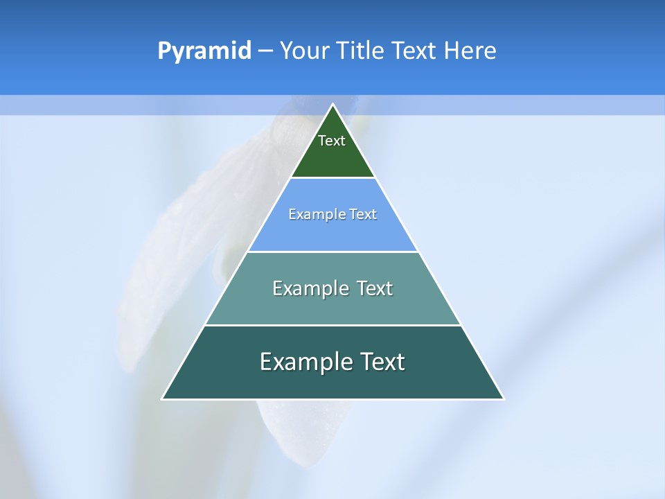 Closeup Dew Spring Flower PowerPoint Template