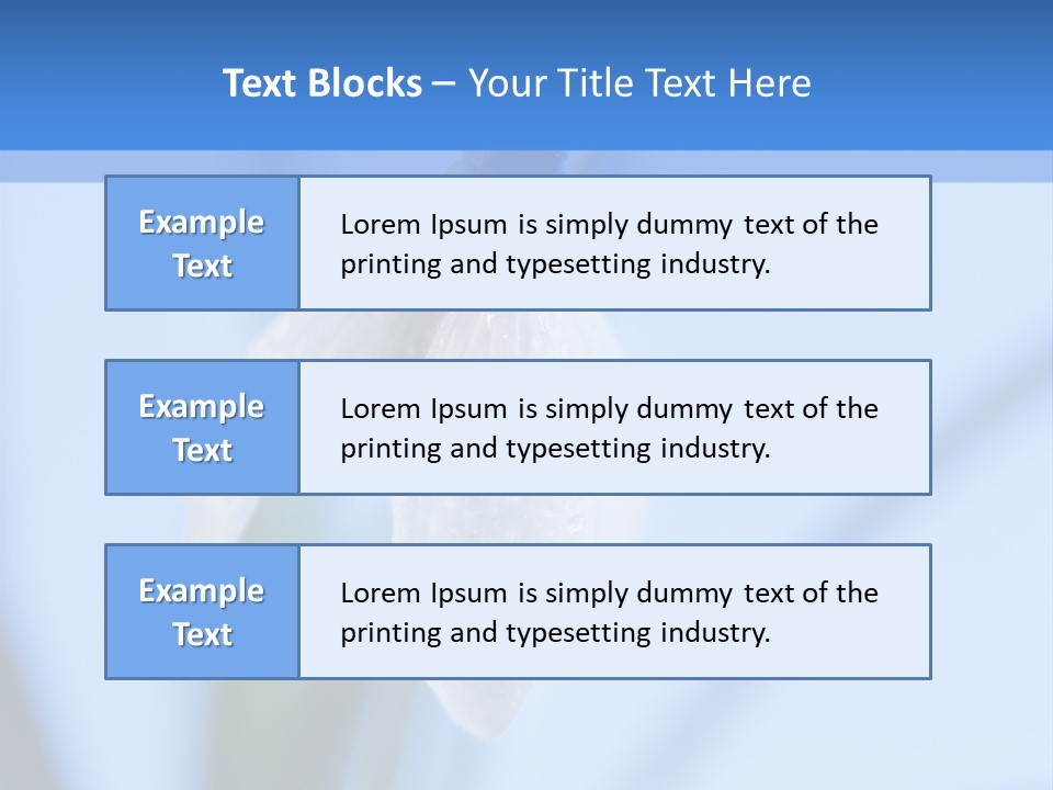 Closeup Dew Spring Flower PowerPoint Template