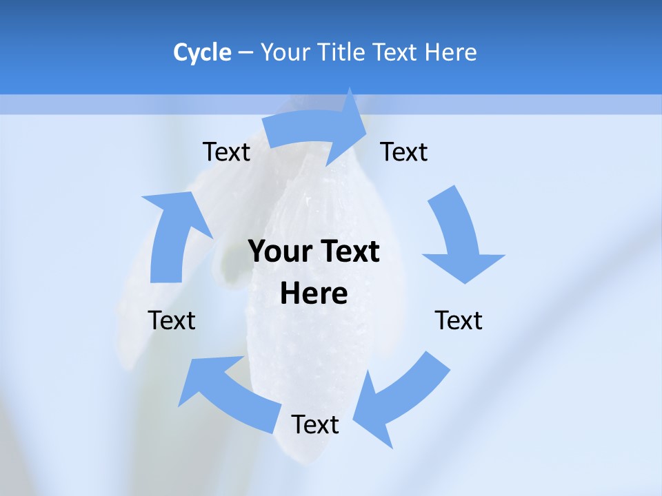 Closeup Dew Spring Flower PowerPoint Template