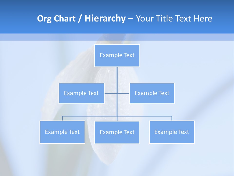 Closeup Dew Spring Flower PowerPoint Template