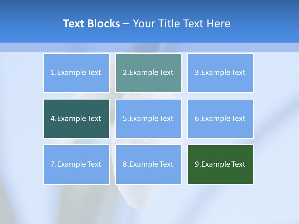 Closeup Dew Spring Flower PowerPoint Template