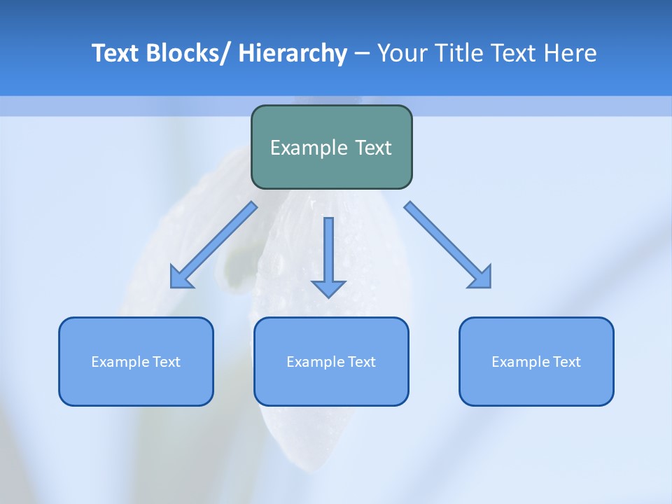 Closeup Dew Spring Flower PowerPoint Template