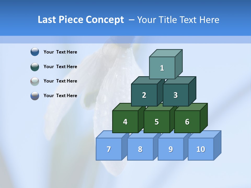 Closeup Dew Spring Flower PowerPoint Template