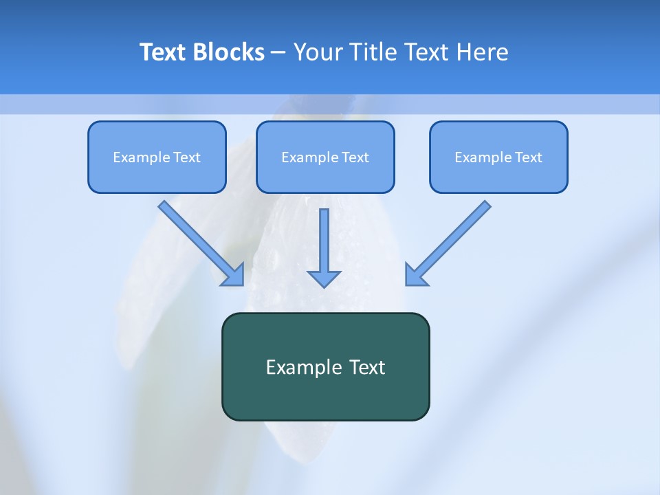 Closeup Dew Spring Flower PowerPoint Template
