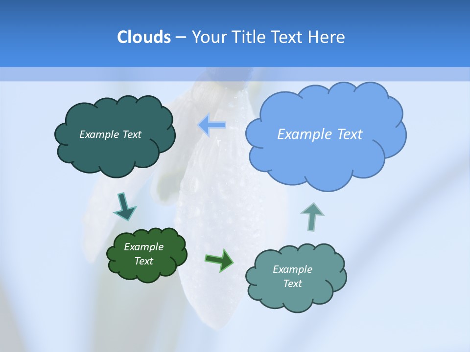 Closeup Dew Spring Flower PowerPoint Template