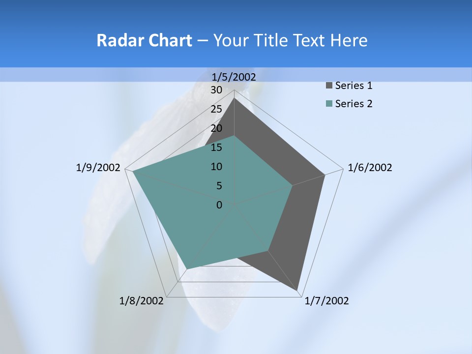 Closeup Dew Spring Flower PowerPoint Template