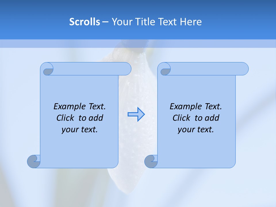 Closeup Dew Spring Flower PowerPoint Template