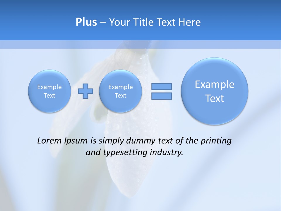 Closeup Dew Spring Flower PowerPoint Template