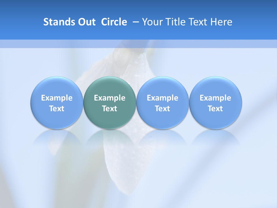 Closeup Dew Spring Flower PowerPoint Template