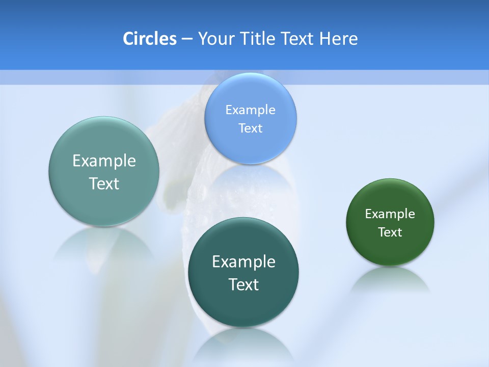 Closeup Dew Spring Flower PowerPoint Template