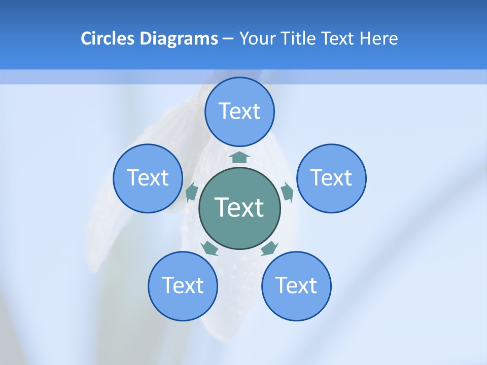 Closeup Dew Spring Flower PowerPoint Template