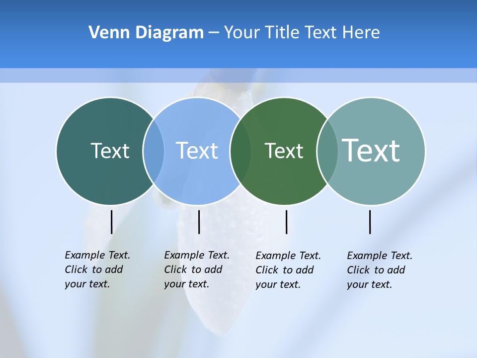 Closeup Dew Spring Flower PowerPoint Template