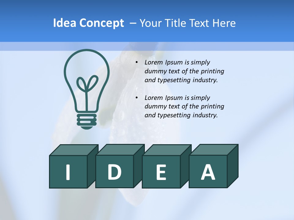 Closeup Dew Spring Flower PowerPoint Template