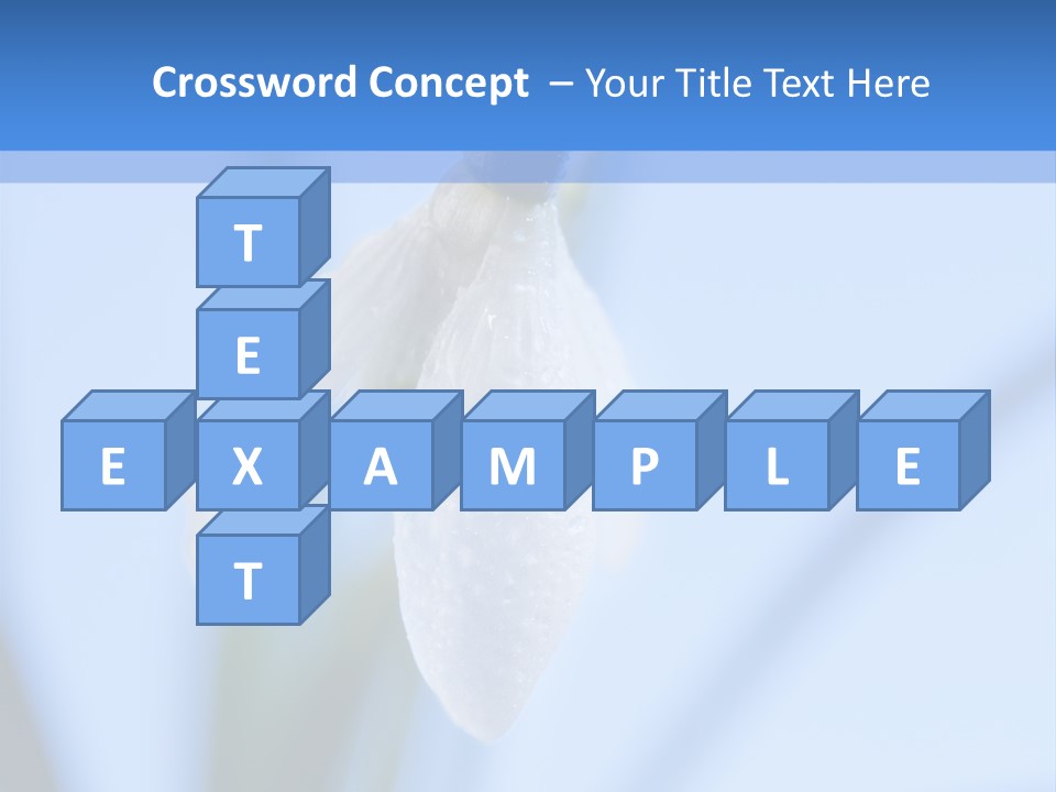 Closeup Dew Spring Flower PowerPoint Template