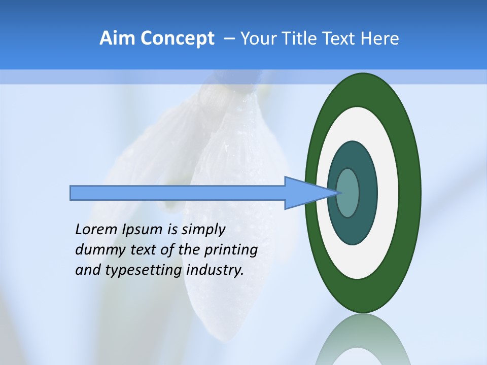 Closeup Dew Spring Flower PowerPoint Template