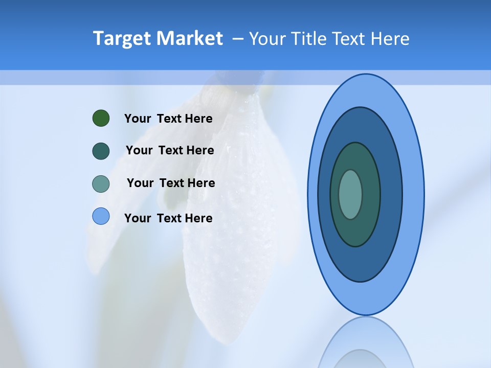 Closeup Dew Spring Flower PowerPoint Template