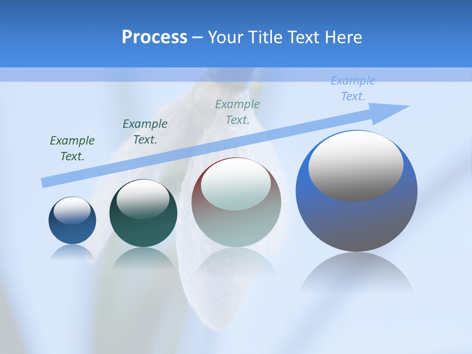 Closeup Dew Spring Flower PowerPoint Template