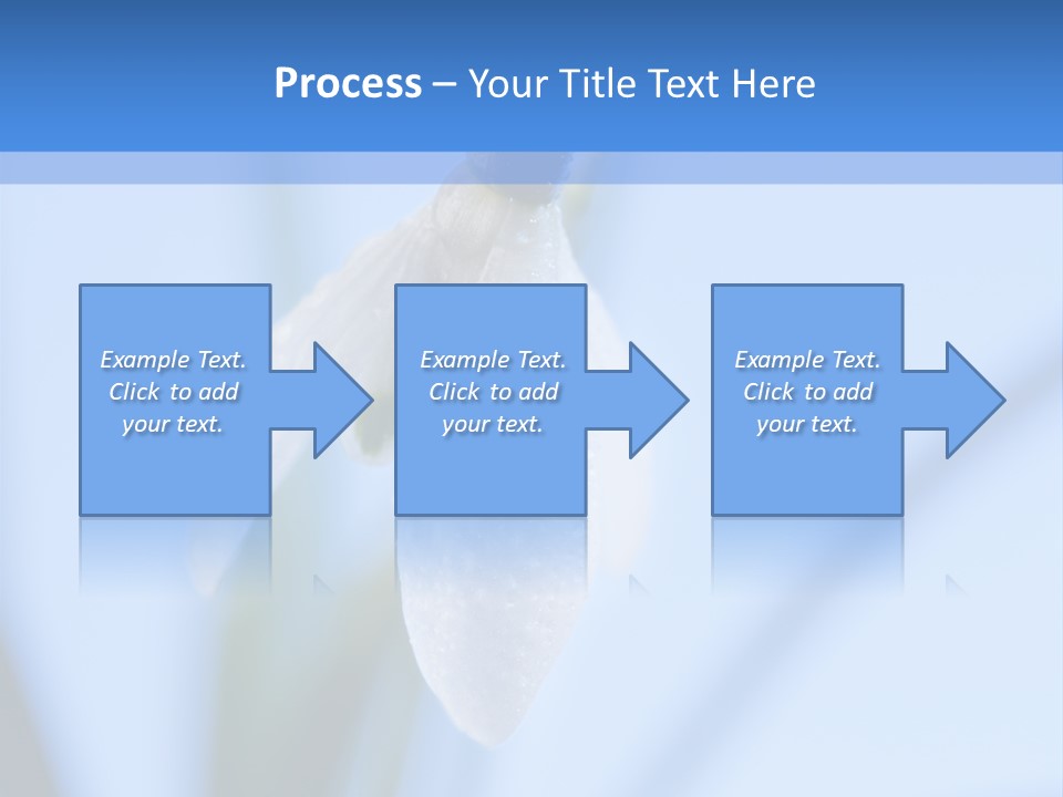 Closeup Dew Spring Flower PowerPoint Template