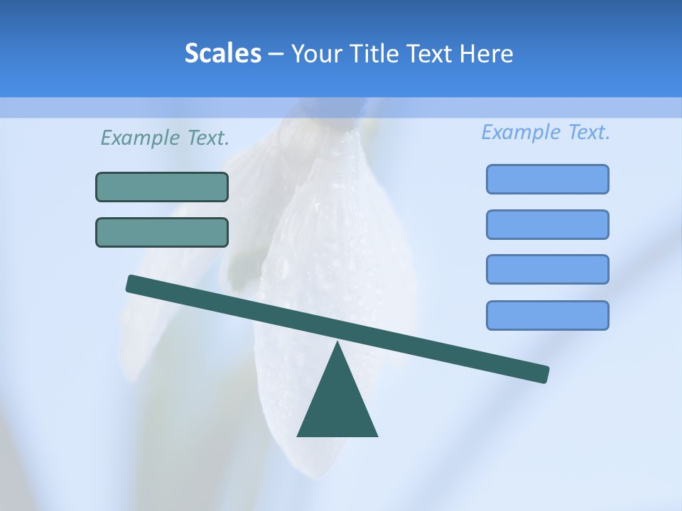 Closeup Dew Spring Flower PowerPoint Template