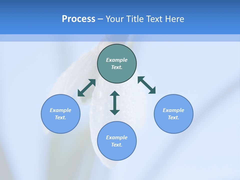 Closeup Dew Spring Flower PowerPoint Template